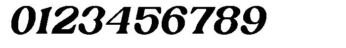 Ex Vaganza Extra Bold Slanted Font OTHER CHARS