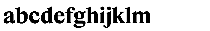 Exact Bold FONT
