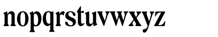 Exclusive Editorial Condensed Font LOWERCASE