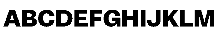 ExatCYR Bold Instance Font UPPERCASE
