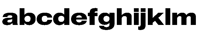 ExatCYR WideBold Instance FONT