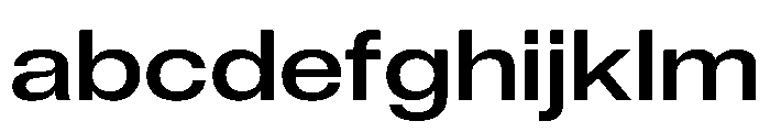 ExatCYR WideRegular Instance FONT