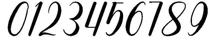 Fadhila Berlin Font OTHER CHARS