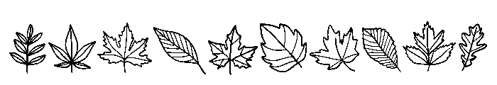 Fall Autumn Leaves Font OTHER CHARS