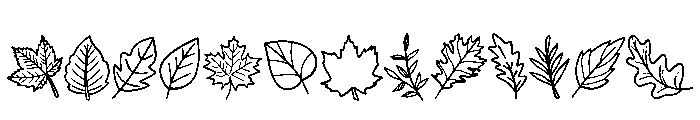 Fall Autumn Leaves Font UPPERCASE