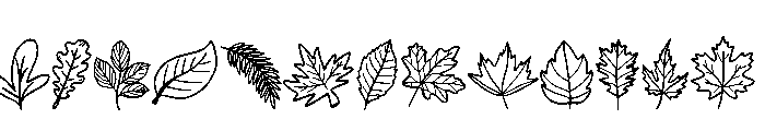 Fall Autumn Leaves Font UPPERCASE