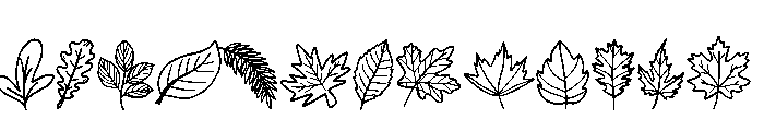 Fall Autumn Leaves Font LOWERCASE