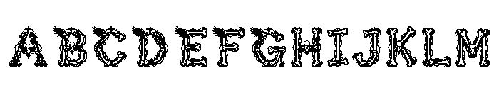 Falnor Regular FONT