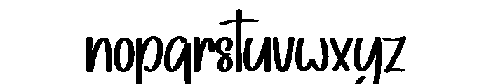 Fancy Handwritten Font LOWERCASE