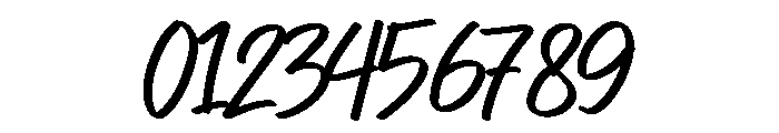 Fanisa Font OTHER CHARS