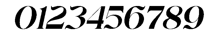 Fantasy Brooklyn Italic Font OTHER CHARS