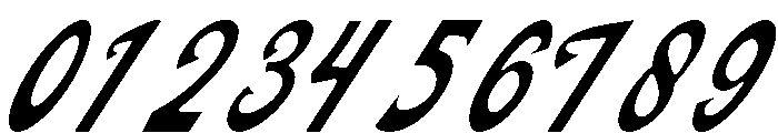 Fardiale Italic Font OTHER CHARS