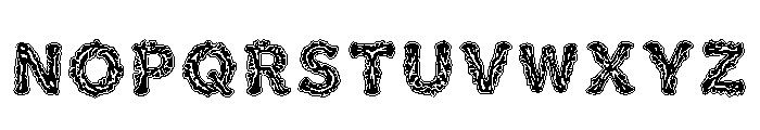 Farid Regular Font LOWERCASE