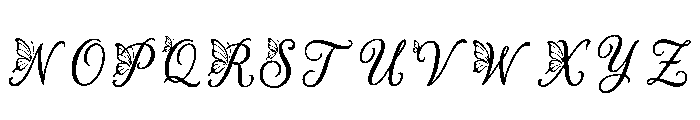 Faryal Regular Font LOWERCASE