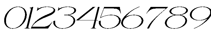Fauden Italic Font OTHER CHARS
