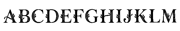 Faustina Regular Font UPPERCASE