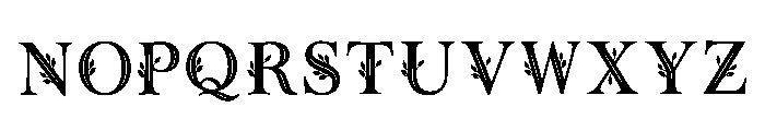 Faustina Regular Font LOWERCASE