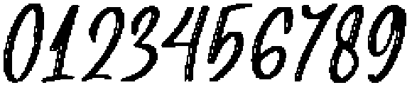 Faithfully Slanted otf (400) Font OTHER CHARS