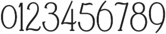 Falkin Serif otf (400) Font OTHER CHARS