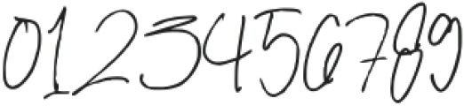 Falsoky Signature Brush Regular otf (400) Font OTHER CHARS
