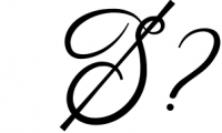 Faldith - Elegant Script Font Font OTHER CHARS
