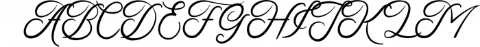 Faldith - Elegant Script Font Font UPPERCASE