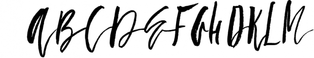 Fallen Angel - calligraphic font Font UPPERCASE