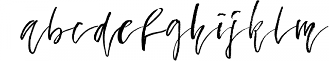 Fallen Angel - calligraphic font Font LOWERCASE