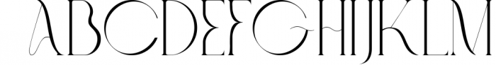 Fashionable - Elegant Serif Font Font UPPERCASE