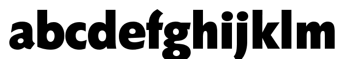 Faber Sans Std 95 Fett Font LOWERCASE