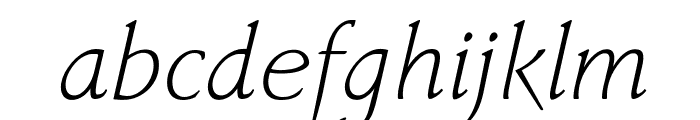 Faber Serif Reduced 46 Leicht Kurs Font LOWERCASE