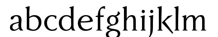 Faber Serif Reduced 55 Normal Font LOWERCASE