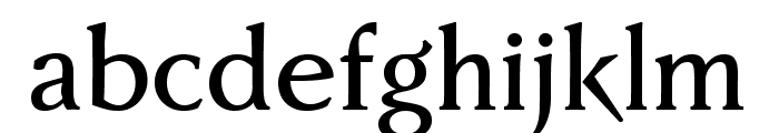 Faber Serif Reduced 65 Kr?ftig Font LOWERCASE