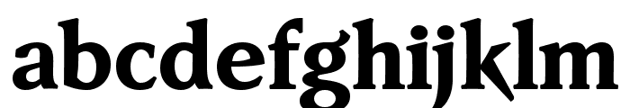 Faber Serif Reduced 85 Schwer Font LOWERCASE