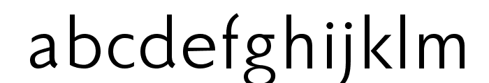 FaberSansPro-Normal Font LOWERCASE