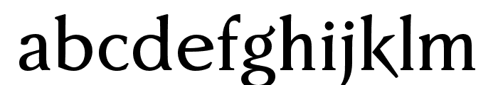 FaberSerifReduced-65Kraftig Font LOWERCASE