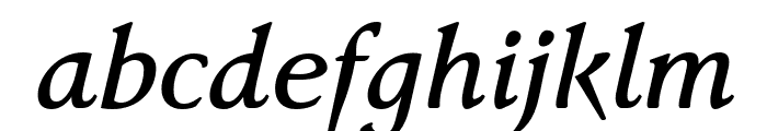 FaberSerifReduced-66KraftigKursiv Font LOWERCASE