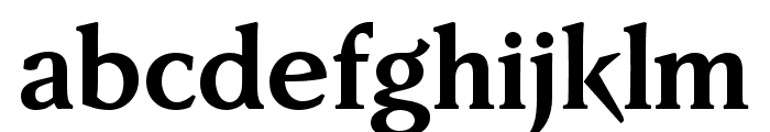 FaberSerifReduced-75Halbfett Font LOWERCASE