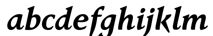 FaberSerifReduced-76HalbfettKurs Font LOWERCASE