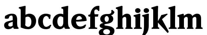 FaberSerifReduced-85Schwer Font LOWERCASE
