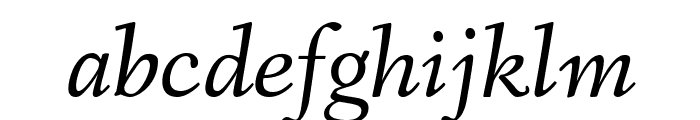 Fanwood Text TT Italic Font LOWERCASE