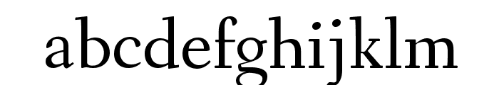 Fanwood Text TT Regular Font LOWERCASE