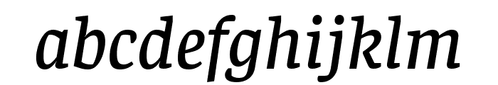 Faustina Medium Italic Font LOWERCASE