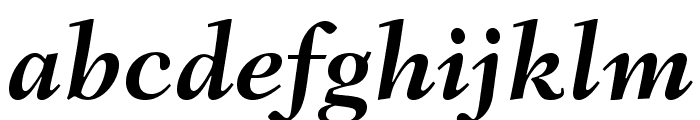 FairfieldLTStd-BoldItalic Font LOWERCASE