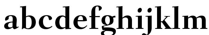FairfieldLTStd-Bold Font LOWERCASE