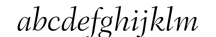 FairfieldLTStd-LightItalic Font LOWERCASE