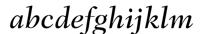FairfieldLTStd-MediumItalic Font LOWERCASE
