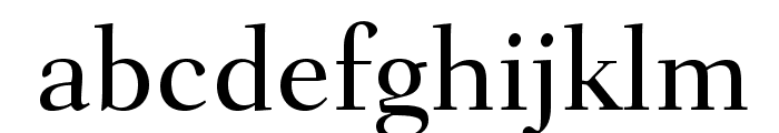 FairfieldLTStd-Medium Font LOWERCASE