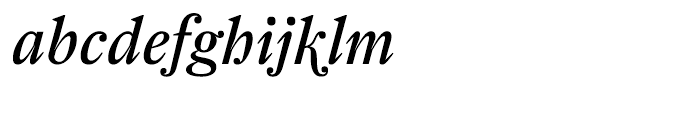 Farnham Display Regular Italic Swash Font LOWERCASE