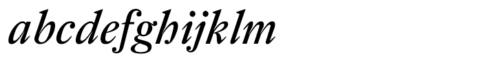 Farnham Text Regular Italic Font LOWERCASE